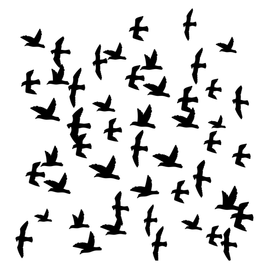Flock of birds soaring through the sky in black silhouette