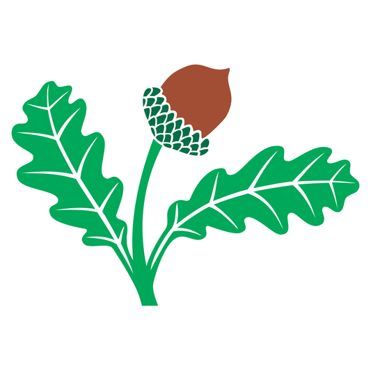 Creative oak leaf and acorn vector for crafts and design