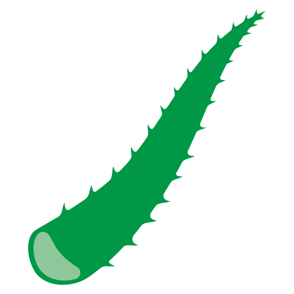Creative aloe leaf design for cutting machines in SVG format