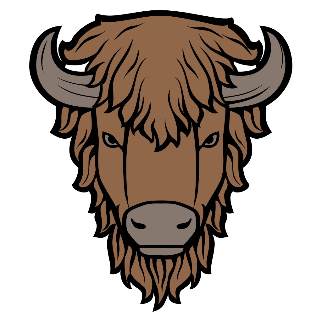 Stylish bison head vector design for creative projects