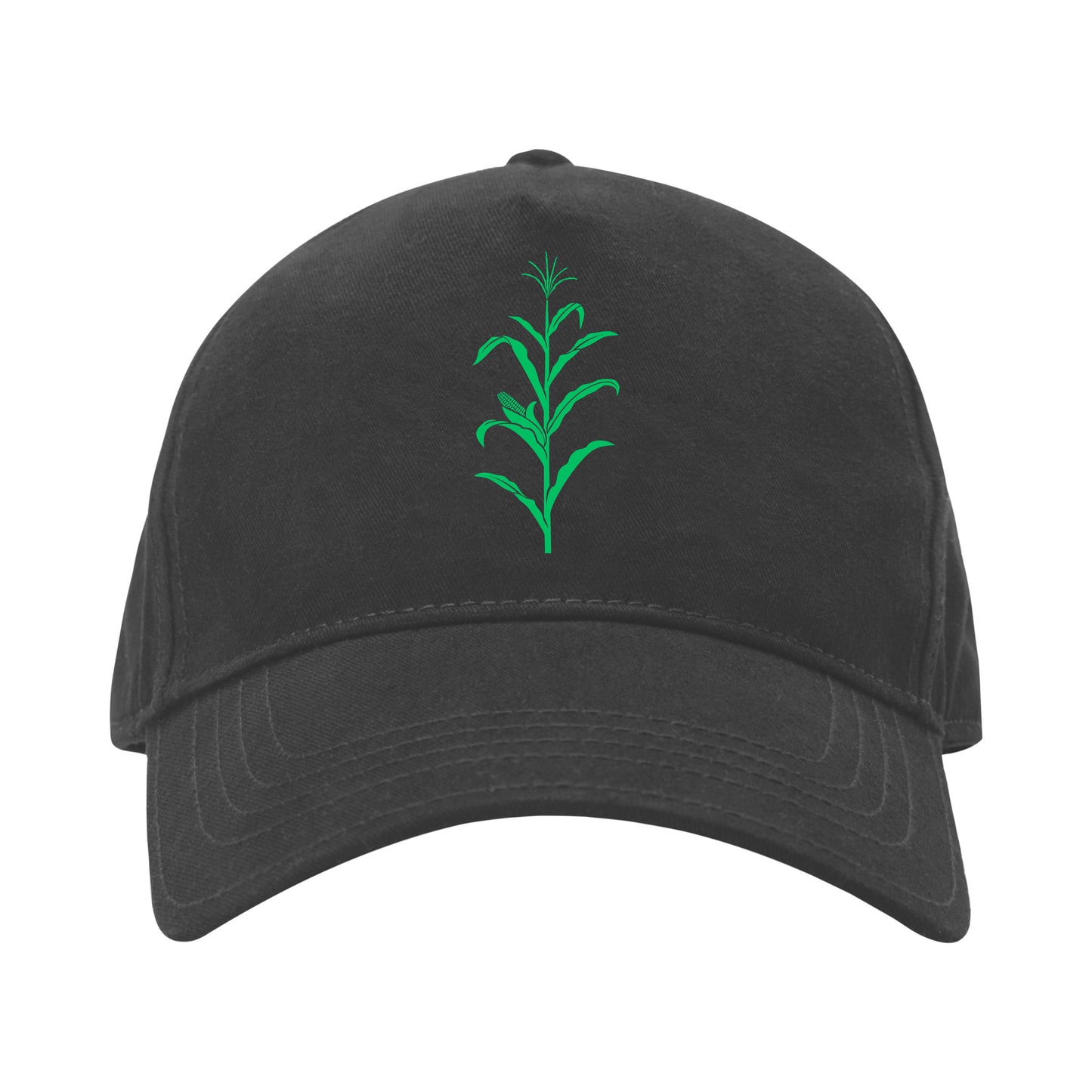 Crafting seasonal decor with corn stalk vector design elements