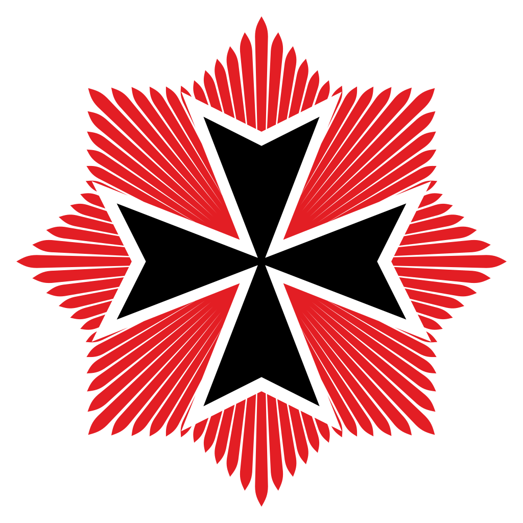 Unique star pattern design for creative projects and crafts