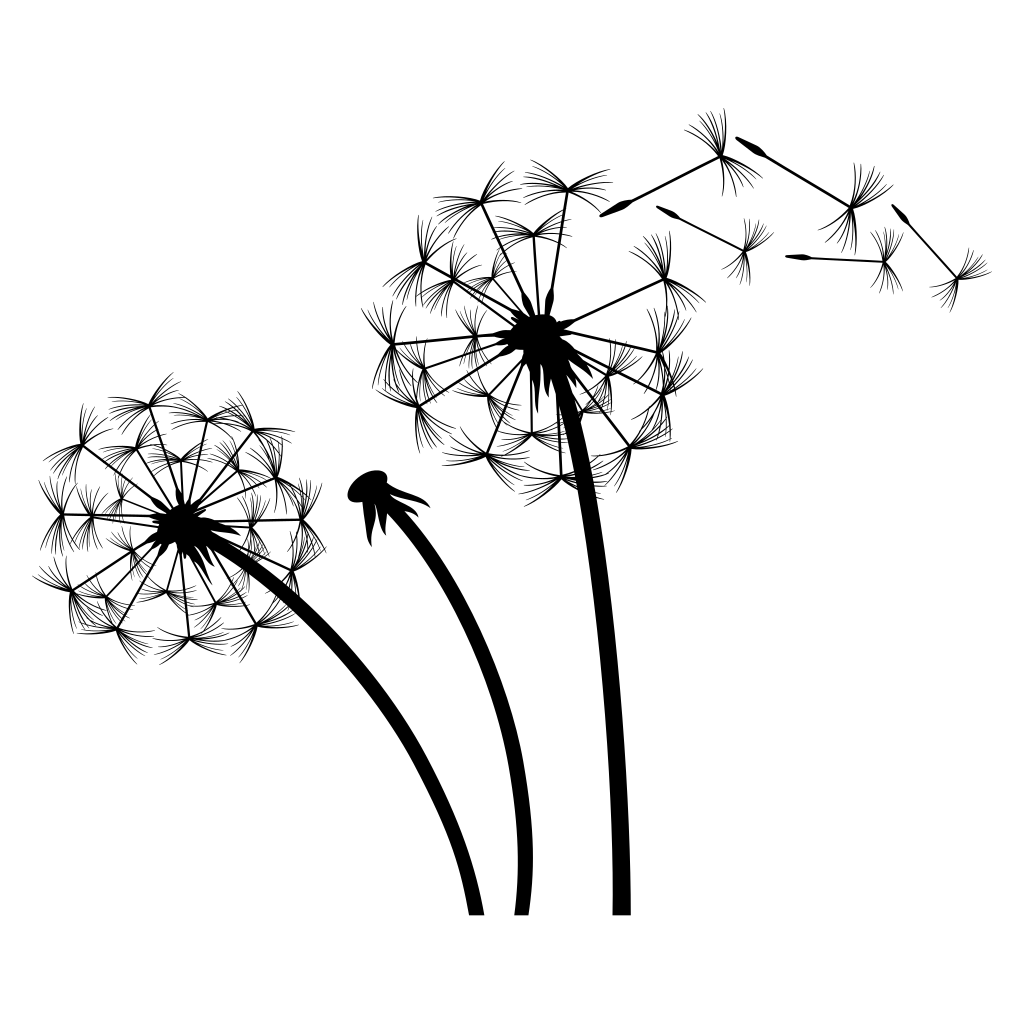 Delicate dandelions in silhouette for creative projects