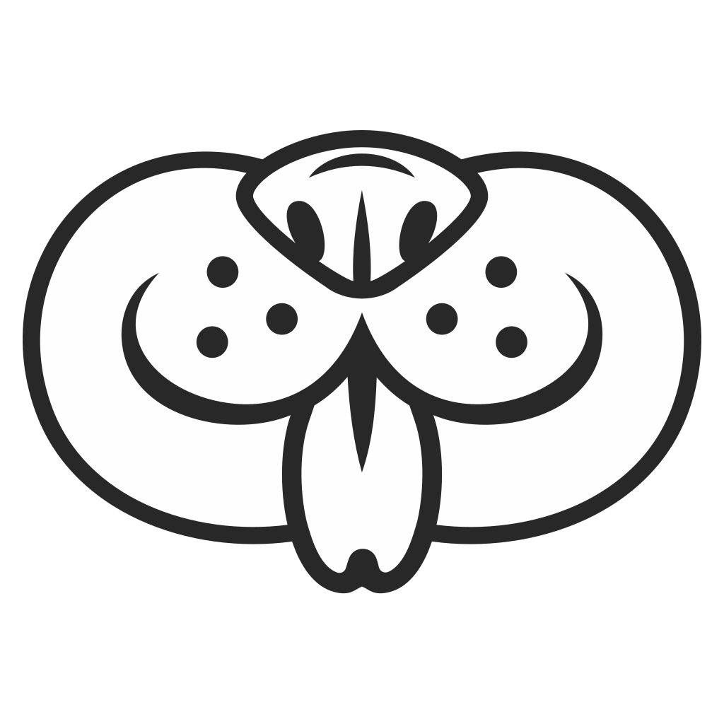 Dog Snout vector design for creative cutting machine projects