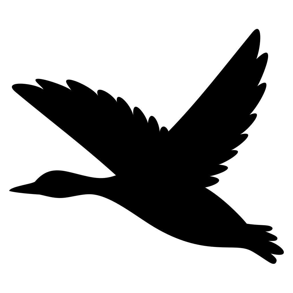 Elegant black silhouette of a soaring bird in flight