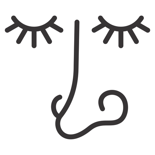 Artistic vector design of a face with eyes and a nose