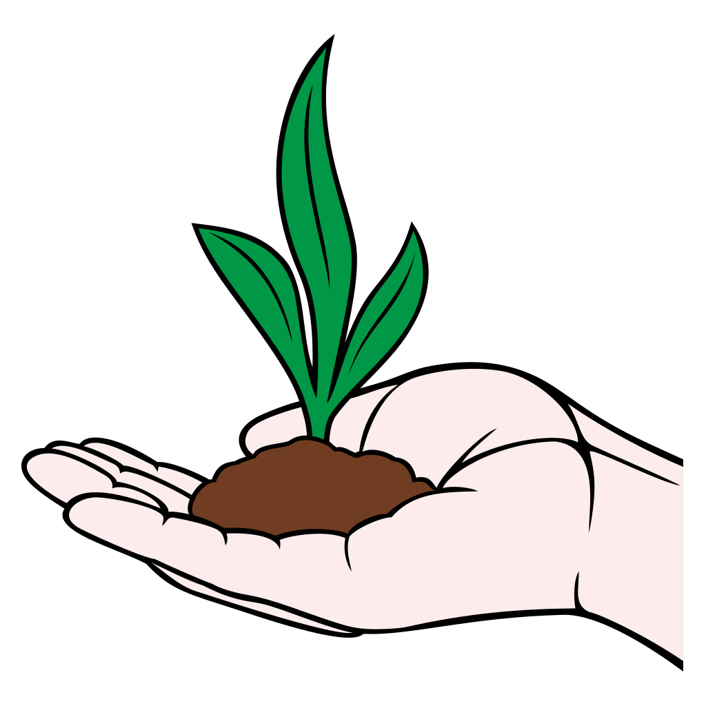 Hand nurturing a fresh plant for growth and sustainability