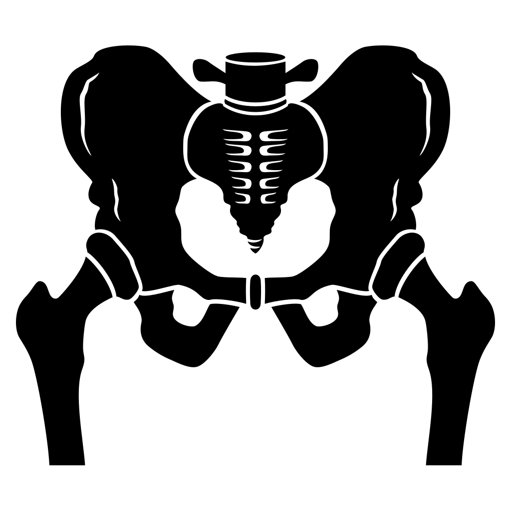 Stylized vector design of a hip bone ideal for crafting