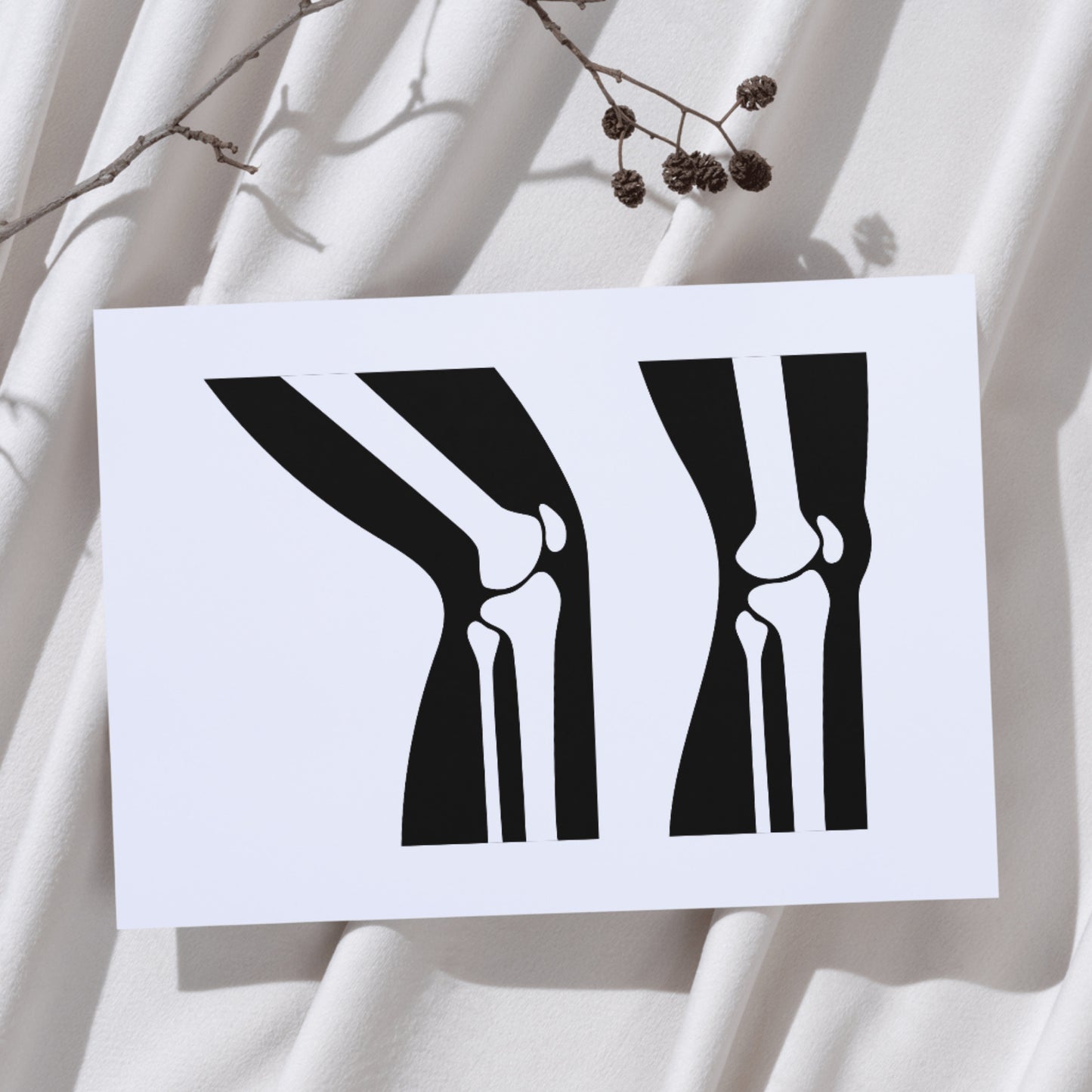 Explore human knee joint anatomy with detailed vector art