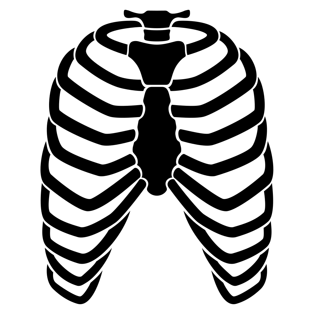 Intricate vector design of human ribs for crafting applications