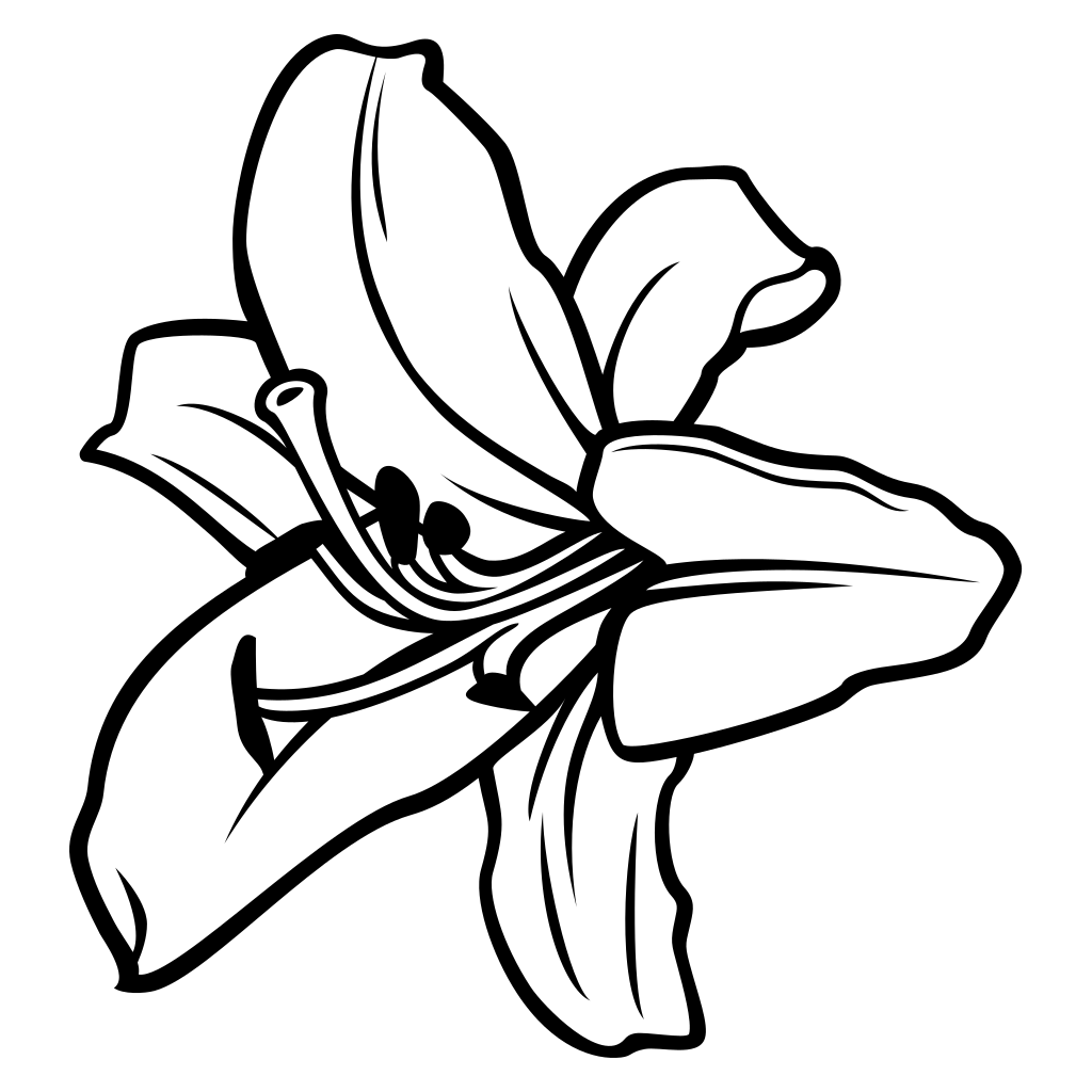 Elegant layered black and white lily flower design for crafting
