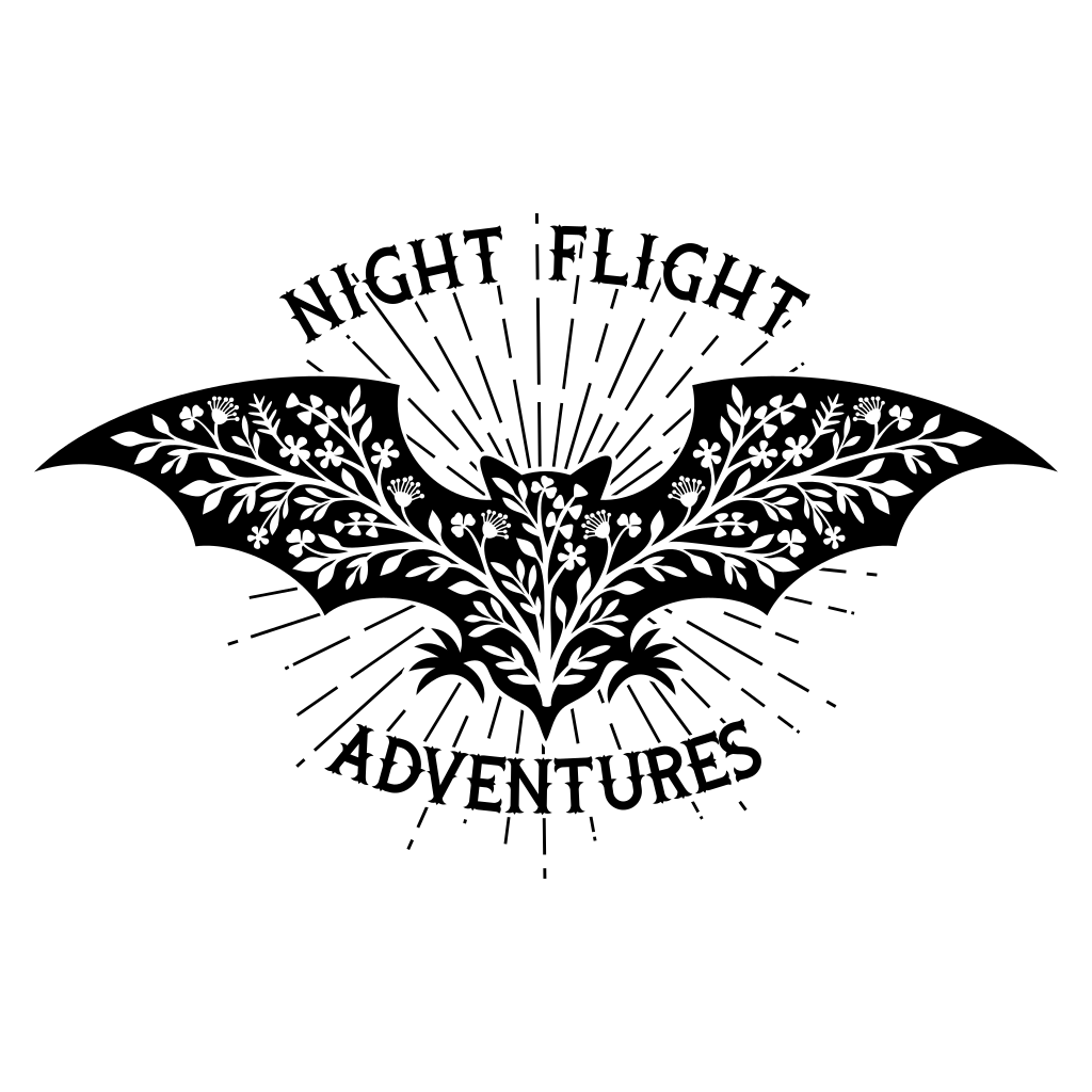 Embrace the adventure of night flight with creative design