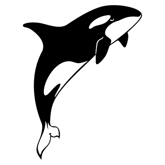 Design with a playful black and white orca shape