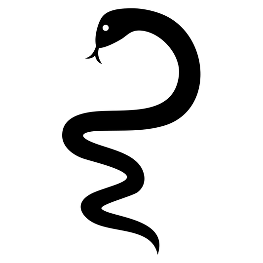 Unique snake design for creative cutting machine projects