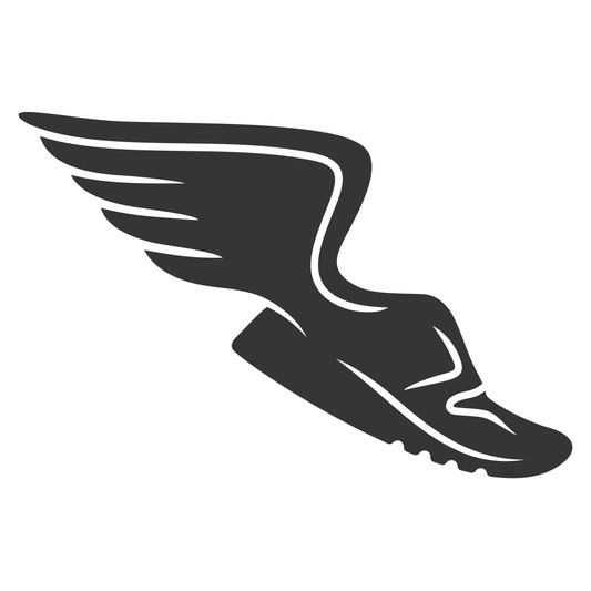 Creative design of sneakers with flying wings for crafts