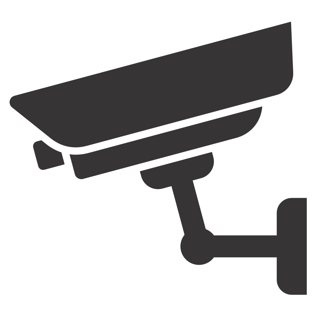Surveillance camera design for crafting and home decor