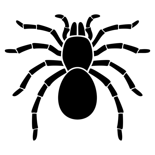 Create unique tarantula spider designs with vector svg files