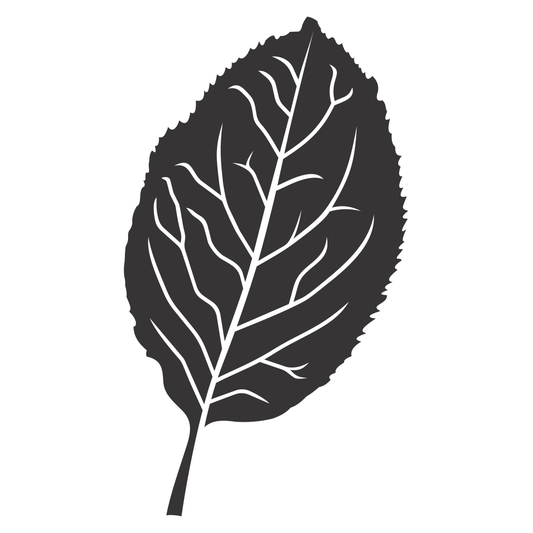 Elegant leaf silhouette design for cutting machine projects