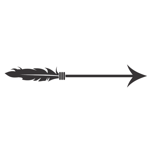 Elegant arrow design with a detailed feather