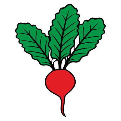 Creative vector design of red radish with green leaves