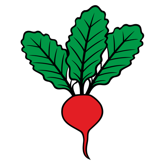 Creative vector design of red radish with green leaves