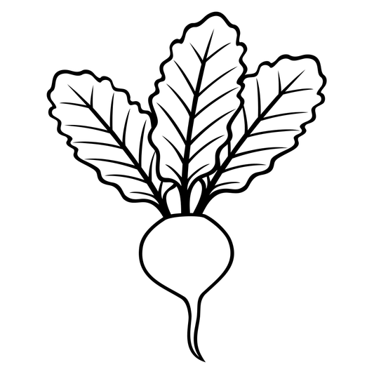Radish design for cutting machine projects and crafts