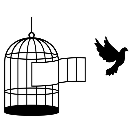 Freedom of flight with a bird and an open cage