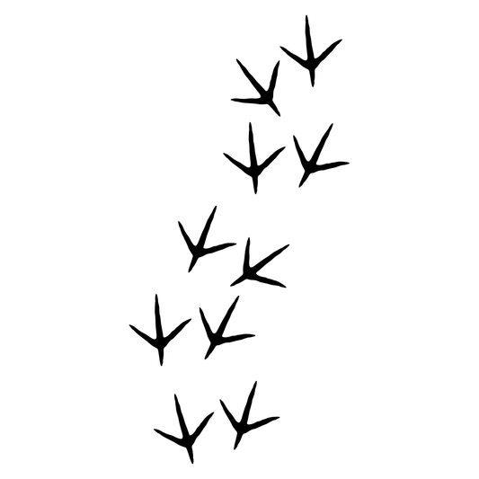 Creative bird steps design for cutting machines