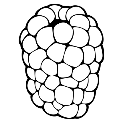 Elegant blackberry vector design for crafting projects