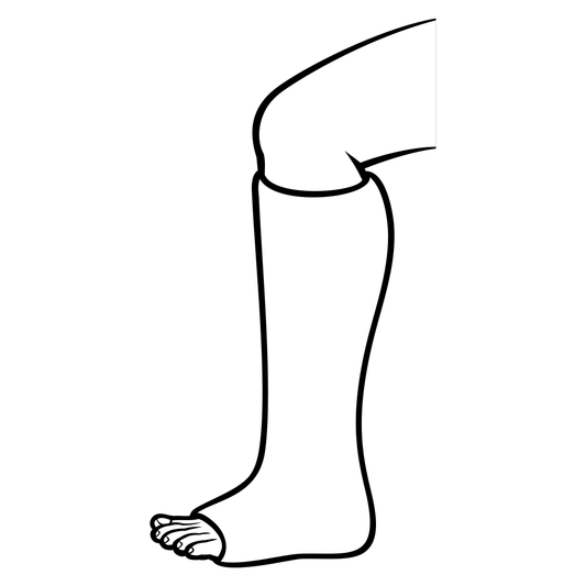 Vector design of a leg with a broken bone for cuts