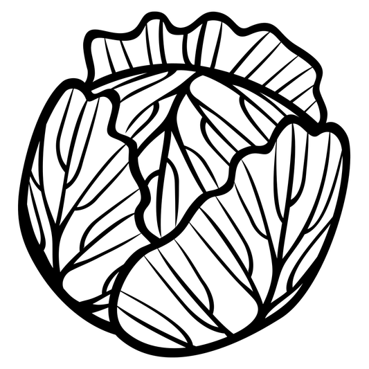 Creative black and white cabbage vector design for cutting