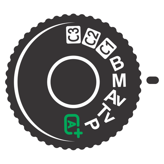 Explore creative camera shooting modes with vector SVG designs