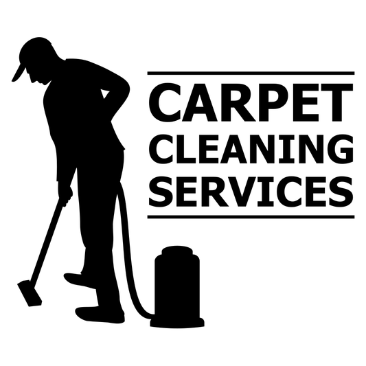 Professional carpet cleaning services for a spotless home
