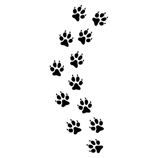 Creative cat paw print track for cutting machines