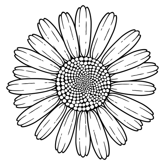 Detailed vector svg file of a beautiful daisy flower design