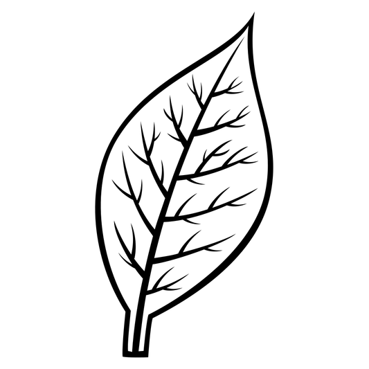 Cigar leaf vector design for cutting machines and crafts