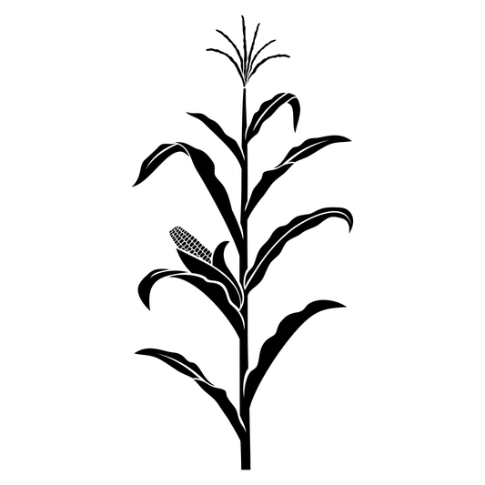 Crafting seasonal decor with corn stalk vector design elements