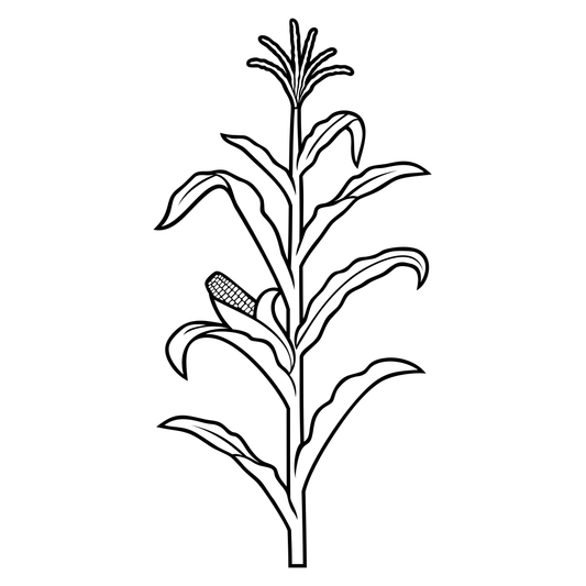Elegant corn stalk design for cutting machines