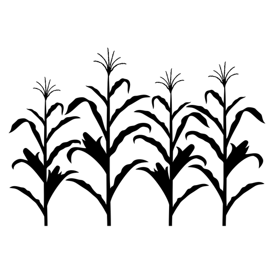 Elegant corn stalk vector art for creative projects