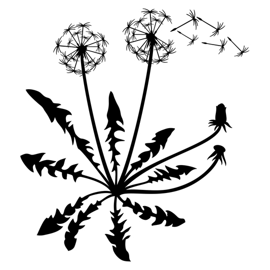 Dandelion silhouette design perfect for crafting projects