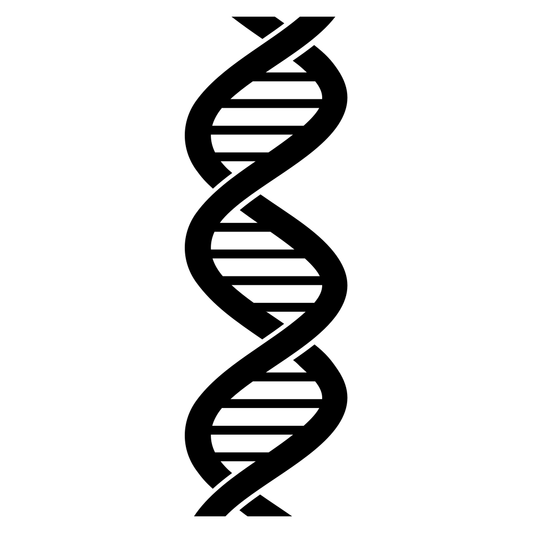 Stylized DNA strand vector design for cutting machines