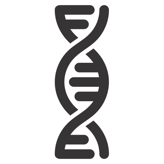 Creative vector design of a DNA helix for cutting machines