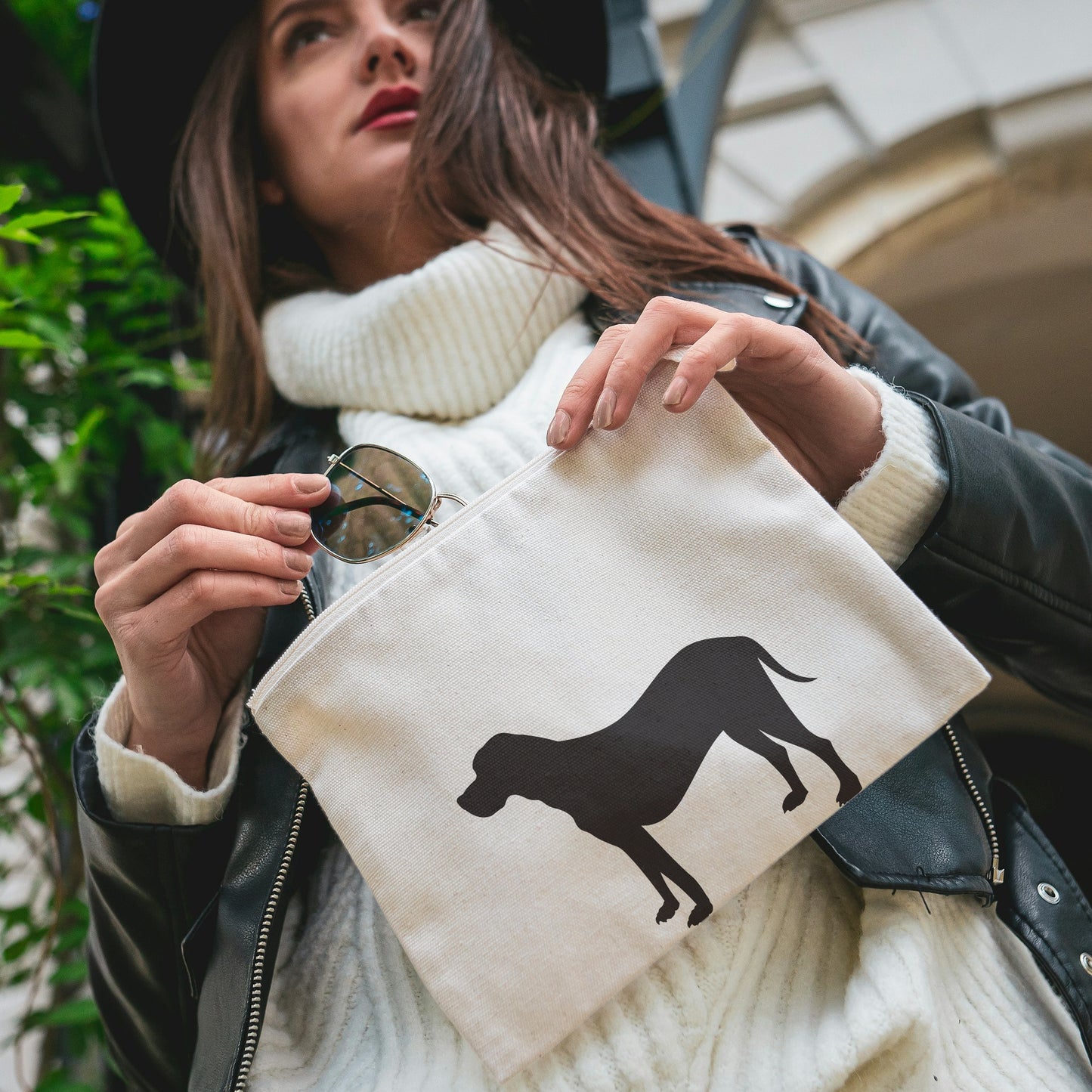 Elegant dog silhouette for crafting and design projects