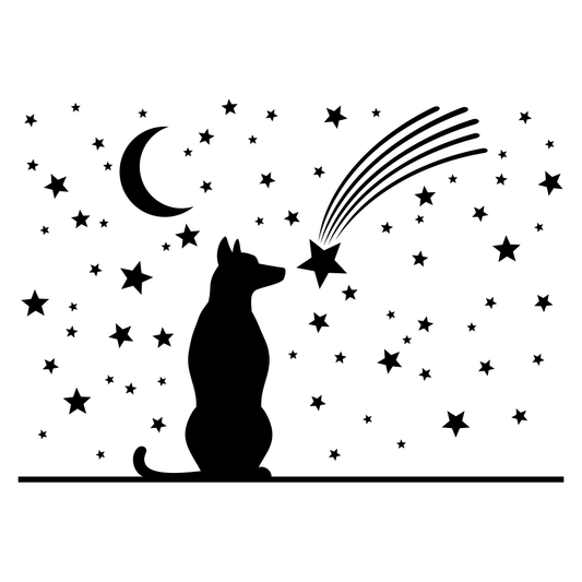 Dog gazing at shooting stars in a night sky delight
