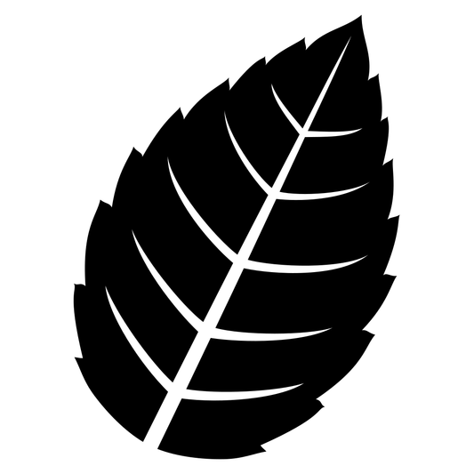 Fresh mint leaf vector design perfect for cutting machines