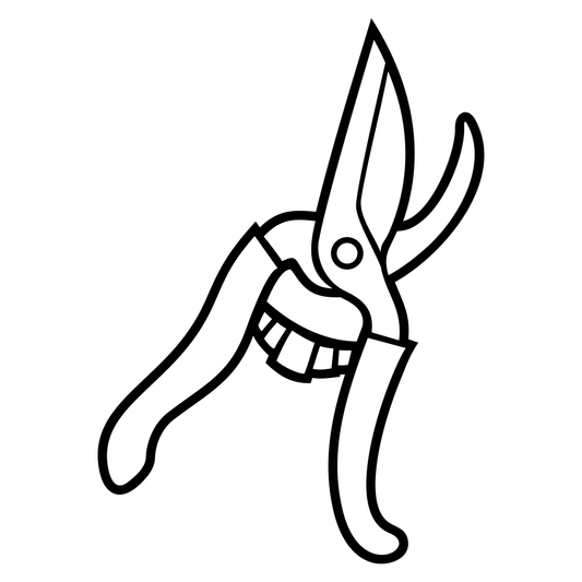 Create stunning garden designs with professional shears