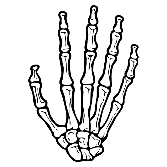 Creative vector design of a detailed human hand skeleton