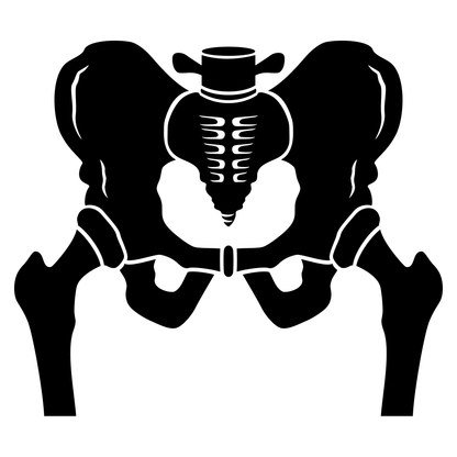 Stylized vector design of a hip bone ideal for crafting