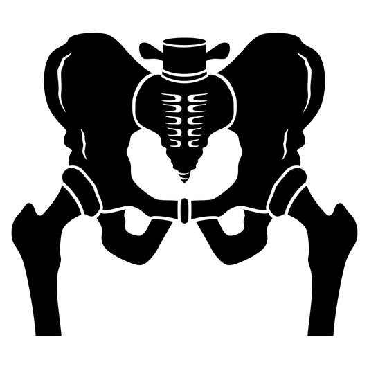 Stylized vector design of a hip bone ideal for crafting