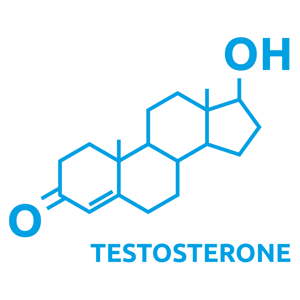 Unique vector design of testosterone molecule for crafting